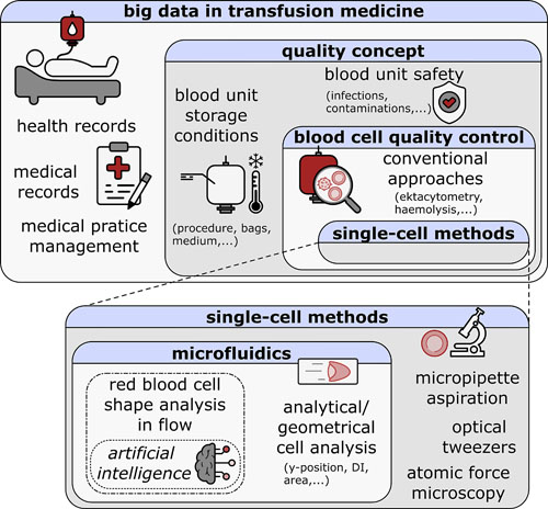 Schematic overview of big data in transfusion medicine. The Matryoshka-structured rectangles represent the concept of this review.