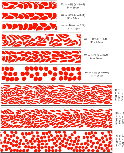 Graphical Abstract