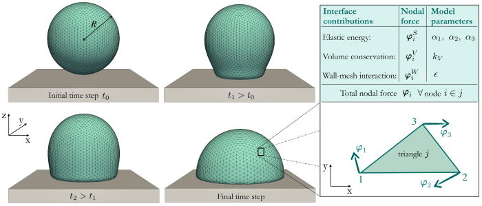 Graphical Abstract