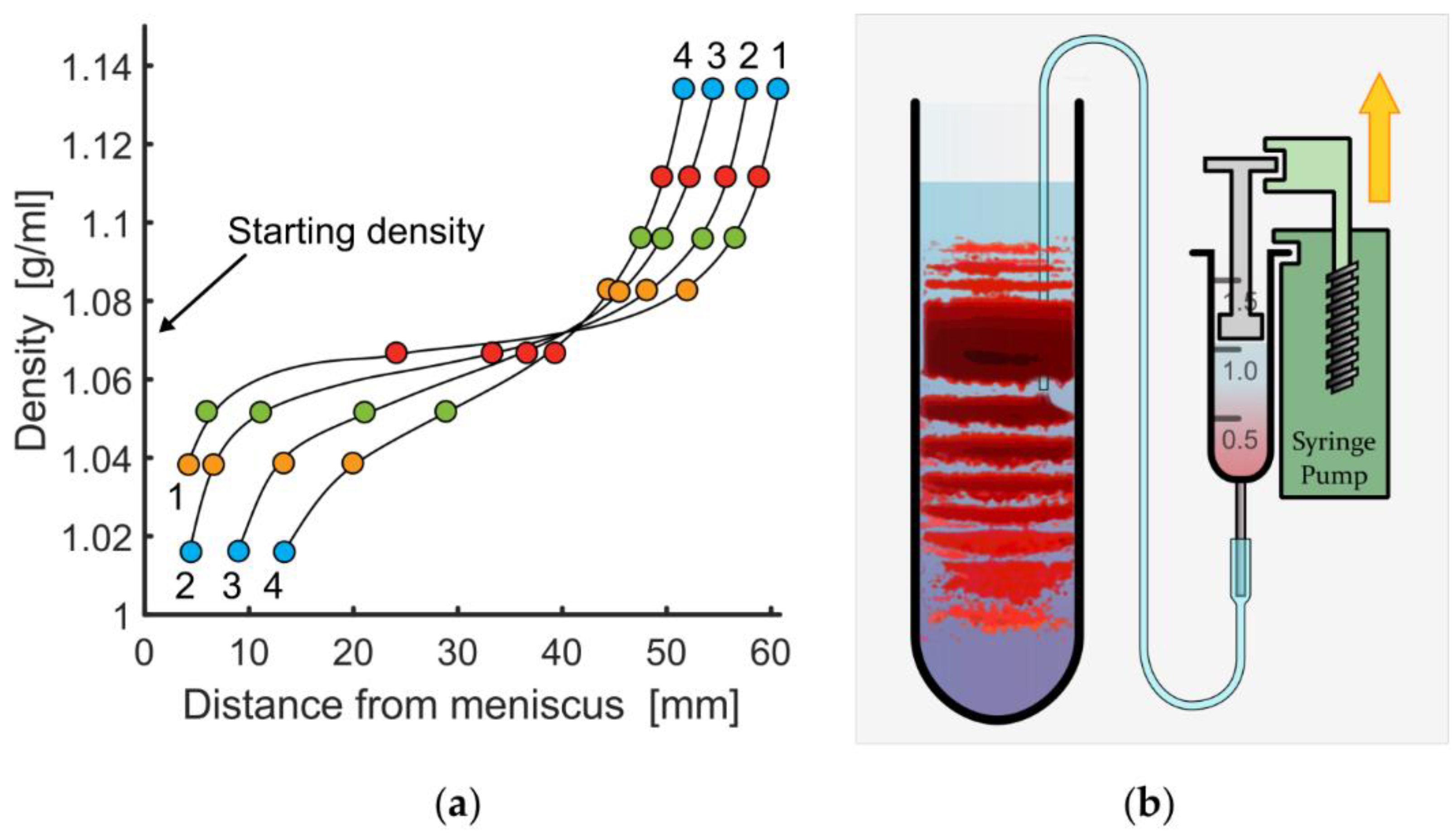 (a) Density gradient measurements of Percoll medium by GE Healthcare using colored beads in an angle head rotor at 20,000× g and varying centrifugation duration, (1) 15 min, (2) 30 min, (3) 60 min, (4) 90 min. (b) scheme of the cell-extraction process of from a single band using micro medical tubing and a syringe pump.
