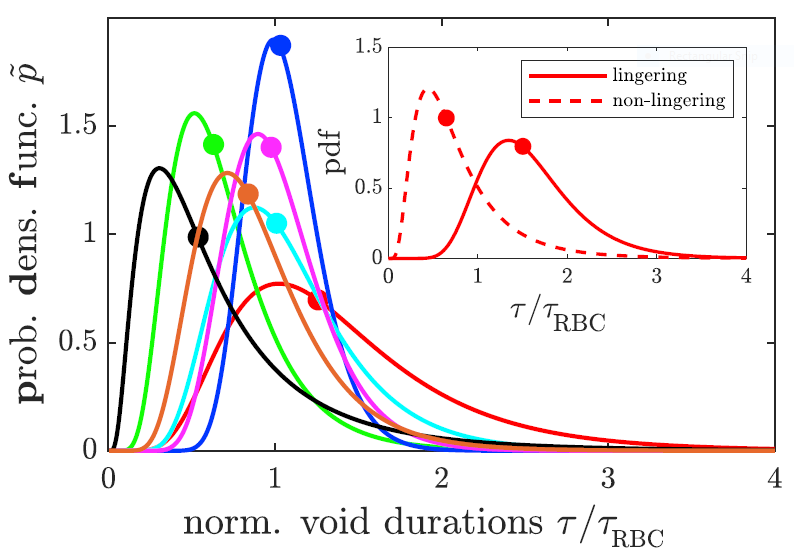 Probability density functions of scaled void durations for all branches if only lingering events are taken into account. The inset graph shows both the probability densities in the case of lingering and nonlingering, respectively to represent extreme cases of the median shift.